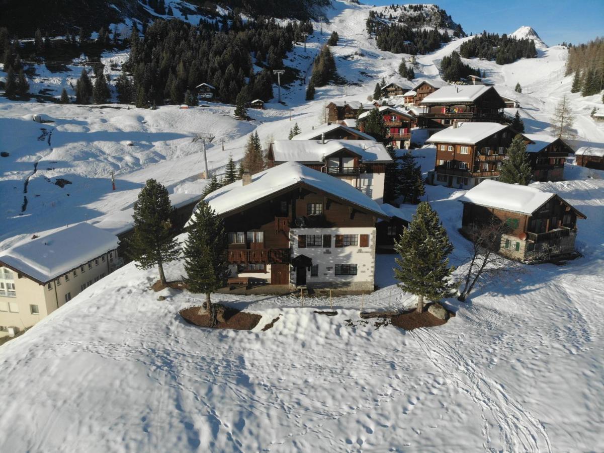 Schoenegg Studio Riederalp Esterno foto