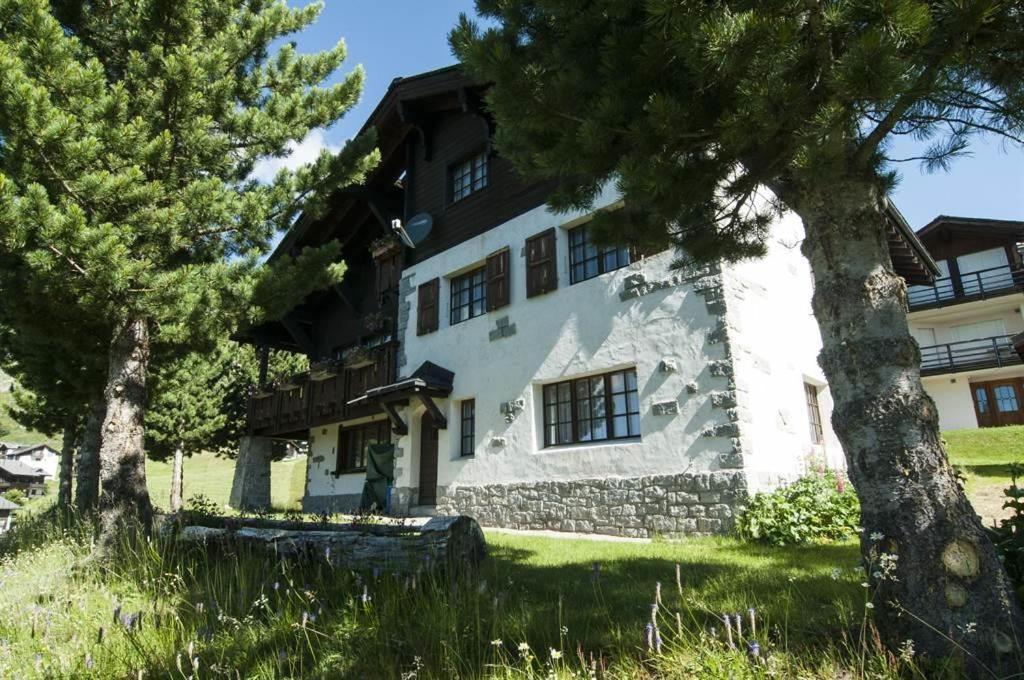 Schoenegg Studio Riederalp Esterno foto