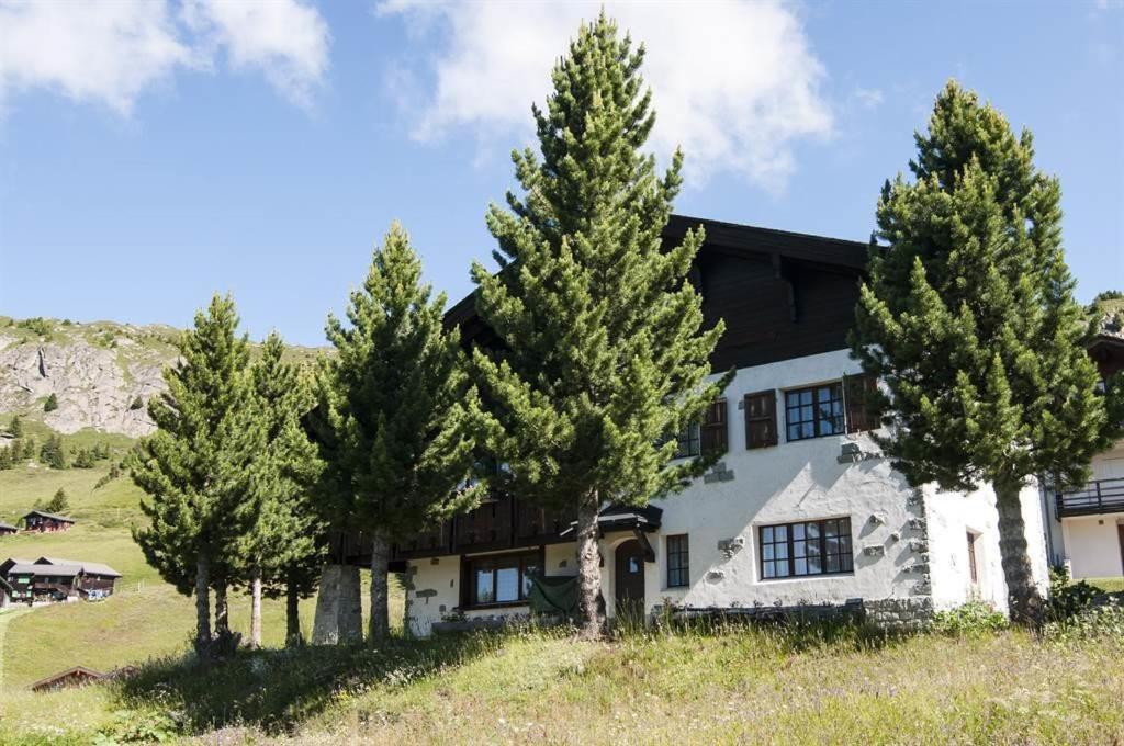 Schoenegg Studio Riederalp Esterno foto
